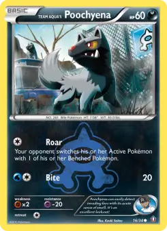 Carta Team Aqua's Poochyena