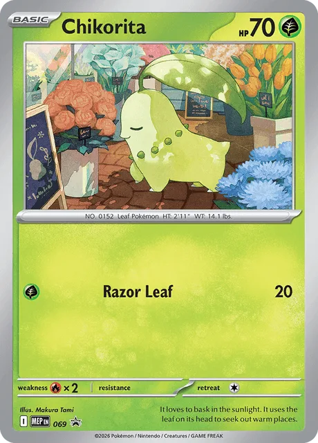 Carta Chikorita