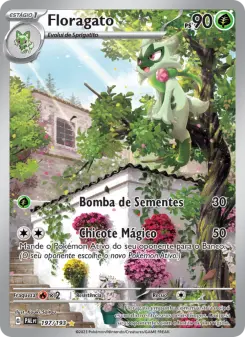 Cartas de Floragato